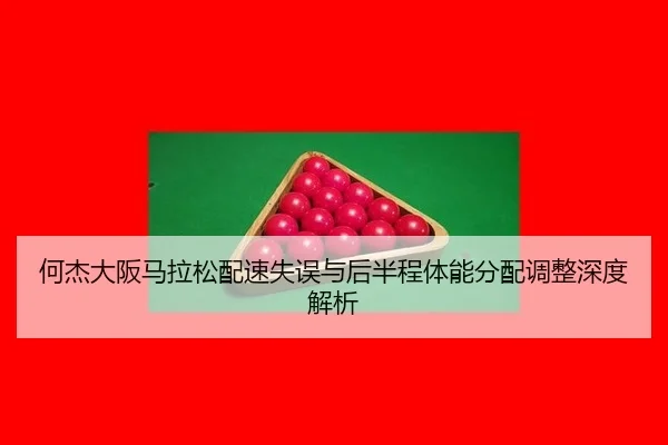 he-jie-da-ban-ma-la-song-pei-su-shi-wu-yu-hou-ban-cheng-ti-neng-fen-pei-tiao-zheng-shen-du-jie-xi-2-438.jpg