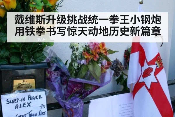 戴维斯升级挑战统一拳王小钢炮用铁拳书写惊天动地历史新篇章